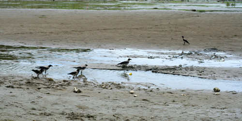 Similar image 546491