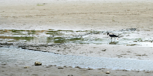 Similar image 546498