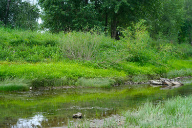 Similar image 546541