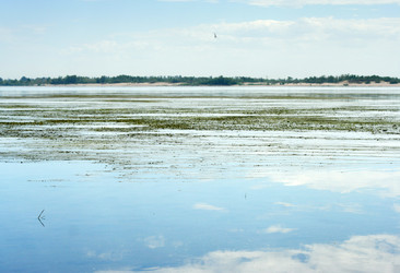 Similar image 546544