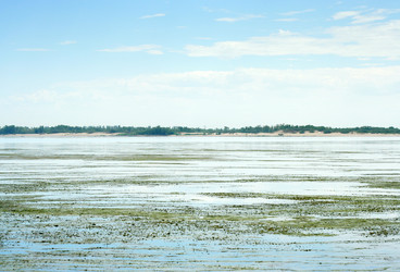 Similar image 546545