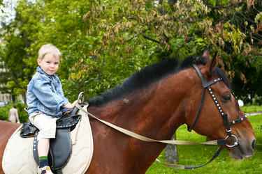 Similar image 546562