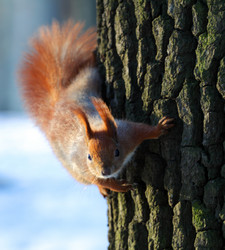 Similar image 546571