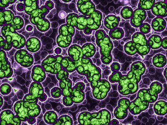 Similar image 546603