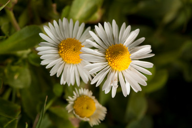 Similar image 546631