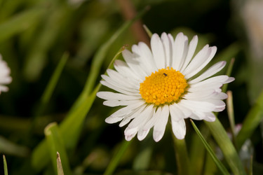 Similar image 546633