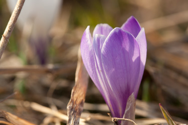 Similar image 546653