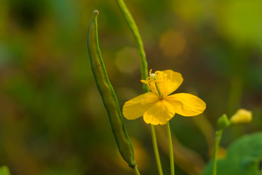 Similar image 546658