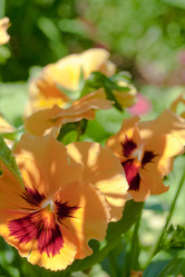 Similar image 546661