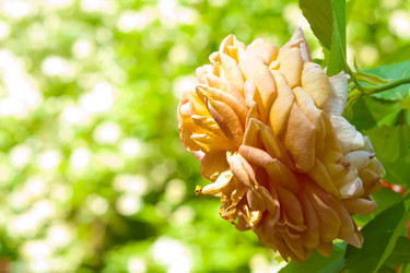 Similar image 546665