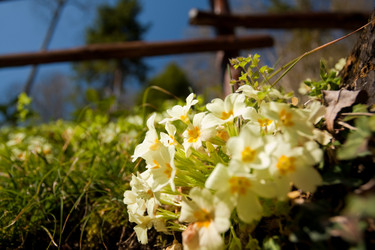 Similar image 546667