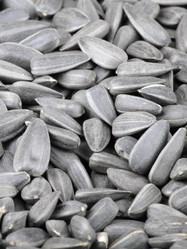 Similar image 546691