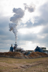 Similar image 546702