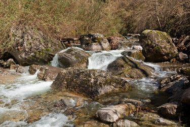 Similar image 546740