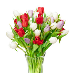 Similar image 546868