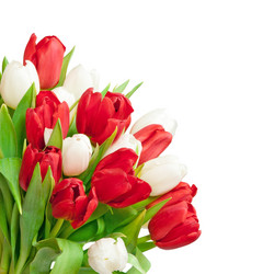 Similar image 546872