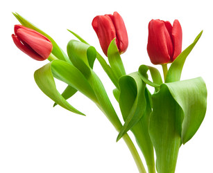 Similar image 546882