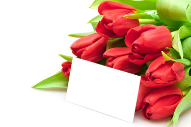 Similar image 546887