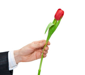 Similar image 546890