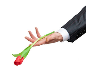 Similar image 546891