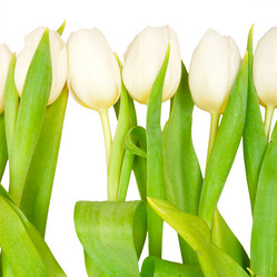 Similar image 546896