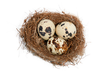 Similar image 546897