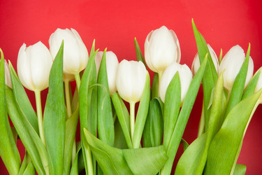 Similar image 546901