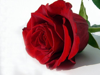 Similar image 546906