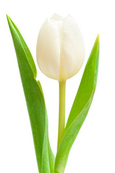 Similar image 546909