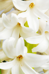 Similar image 546918