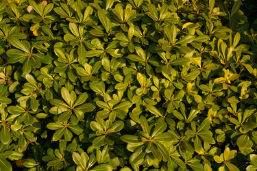 Similar image 546921