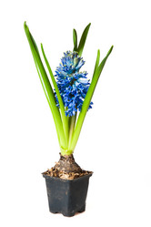 Similar image 546922