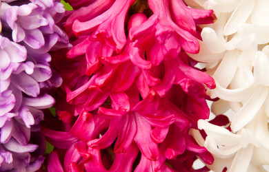 Similar image 546924