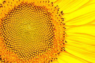 Similar image 546930