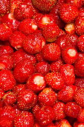 Similar image 546933