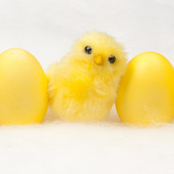 Similar image 546936