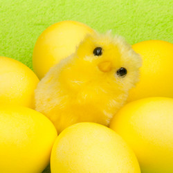 Similar image 546939