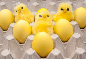 Similar image 546941