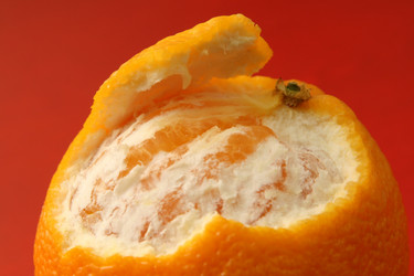 Similar image 547112