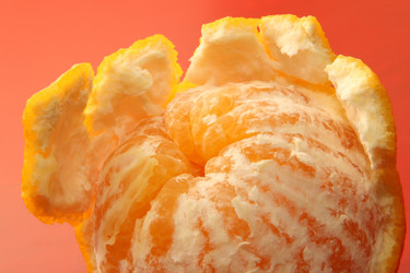 Similar image 547113