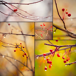 Similar image 547144