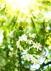 Similar image 547155