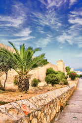 Similar image 547166