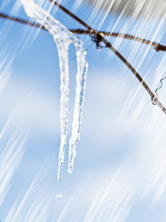 Similar image 547184