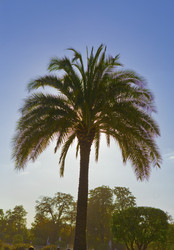 Similar image 547188