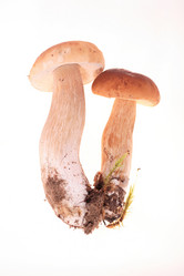 Similar image 547199