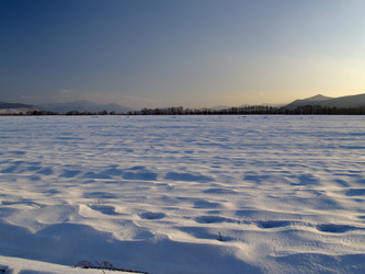 Similar image 547241