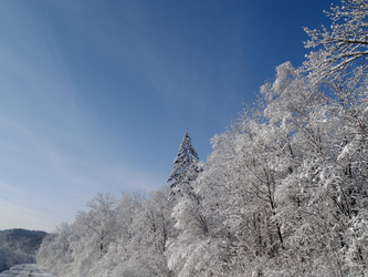 Similar image 547261