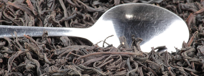 Similar image 547264