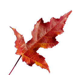 Similar image 547279